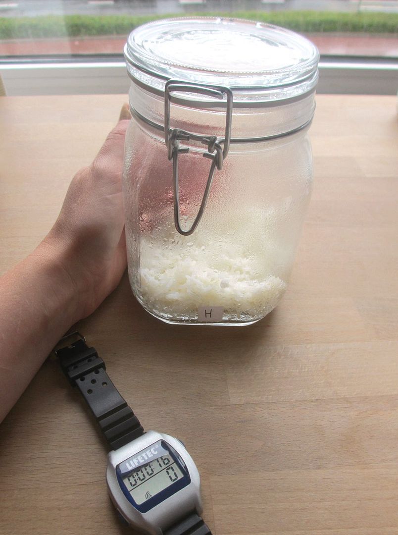 Rice jar experiment (a.k.a. ways to insult rice) Magical Daydream